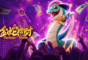 pg赚钱网站电脑免费版