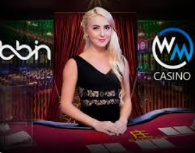 pg赚钱网站桌面版客户端